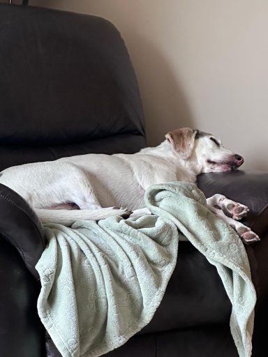 River's chair!