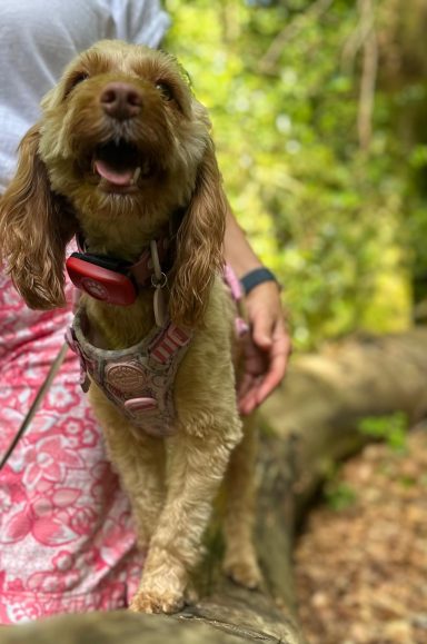 Tilly